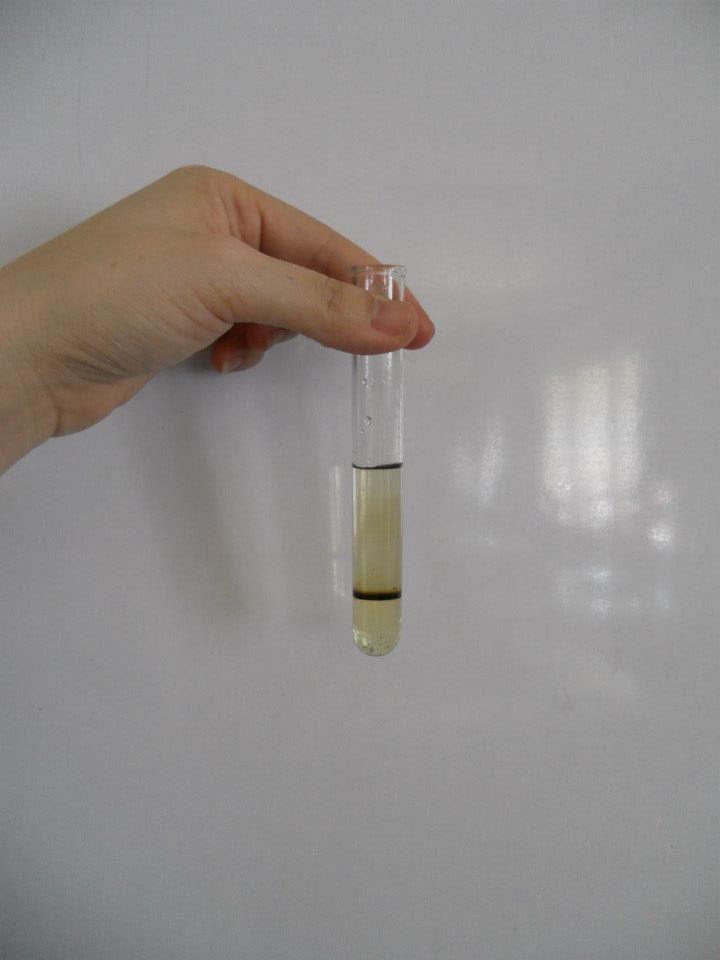 Practical 11 — Identifying anions