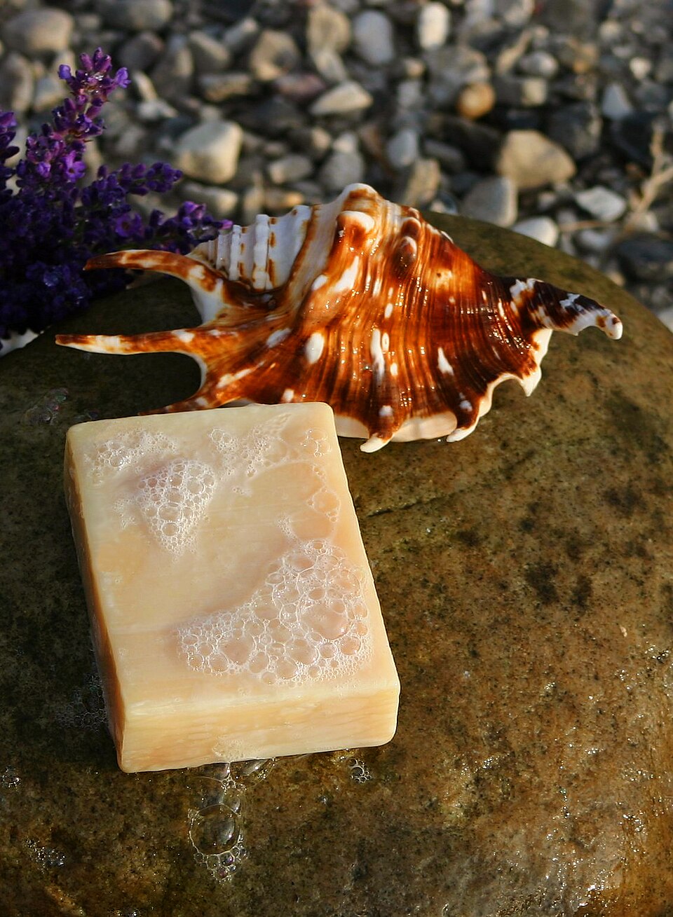 Practical 41 — Preparation of soap (saponification)