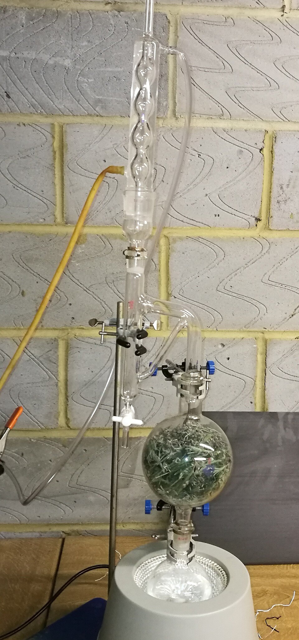 Practical 42 — Extracting essential oils by steam distillation (cinnamon leaf oil)