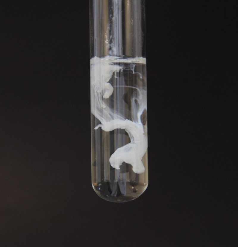 Practical 13 — Identifying halides