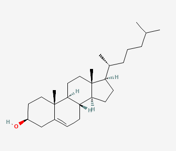 Cholesterol structure