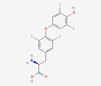 Thyroxine (T₄) structure