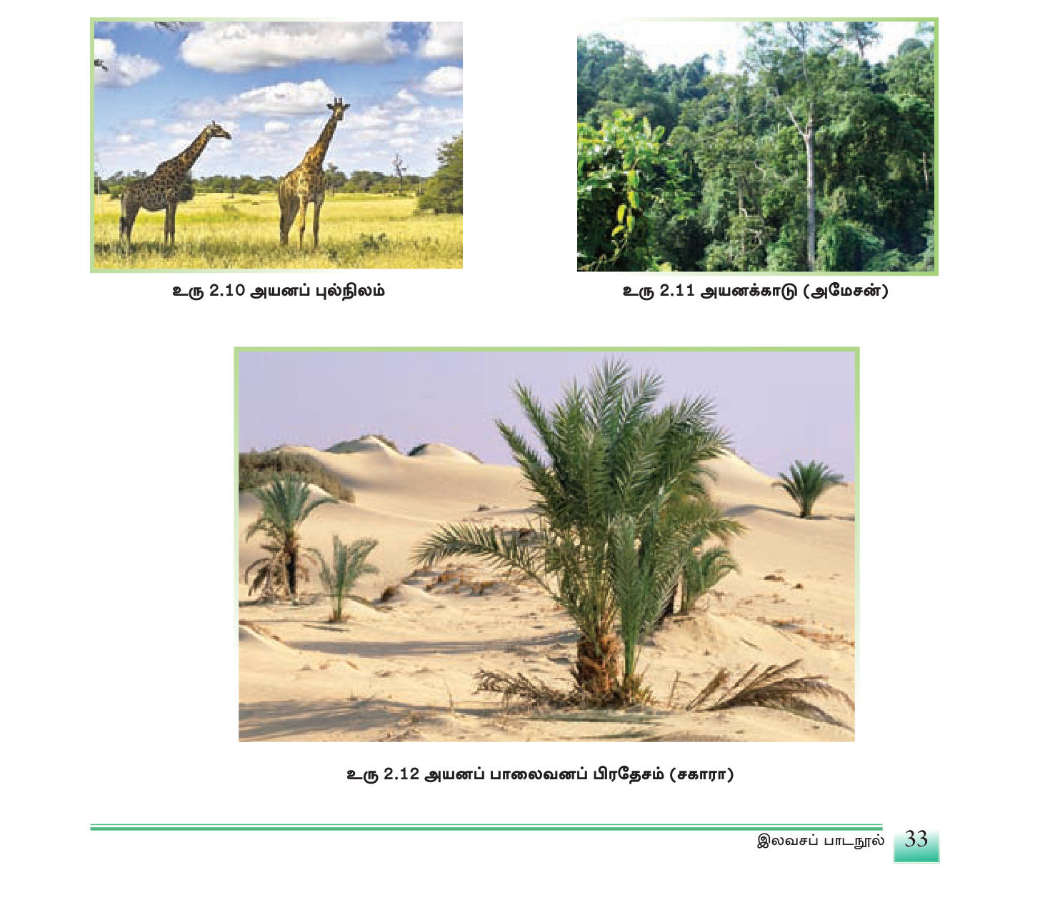 உரு 2.10 / 2.11 / 2.12 — அயன வலயத்தின் காட்சிகள்: ஆபிரிக்கப் புல்வெளி, அமேசன் காடு, சகாராப் பாலைவனம்.
