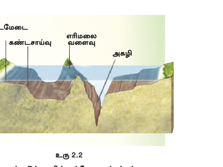 உரு 2.2 — கடற் படுக்கையின் பல்வேறு அம்சங்கள்: கண்டமேடை, கண்டச்சாய்வு, எரிமலை வளைவு, அகழி.