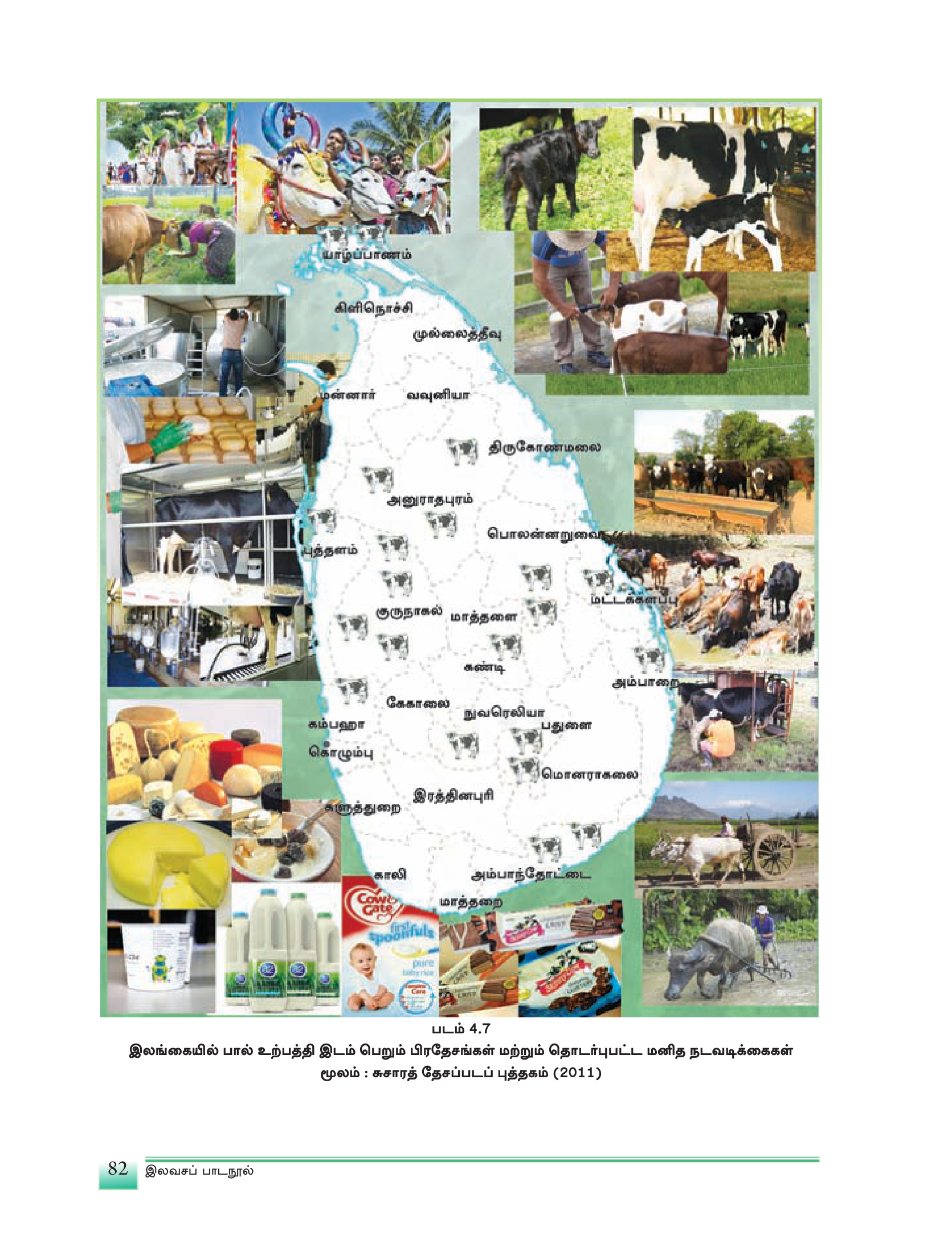 படம் — இலங்கையின் கால்நடை வளர்ப்பின் (மாட்டு, எருமை, ஆடு, கோழி) பரம்பல்.