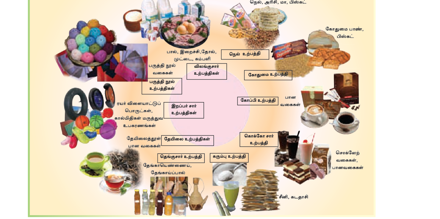 உரு 3.1 — விவசாயப் பயிர்களும், அவற்றுடன் தொடர்பான உற்பத்திகளும். ஒவ்வொரு பொருளுக்குப் பின்னும் ஒரு பயிர் இருக்கிறது.