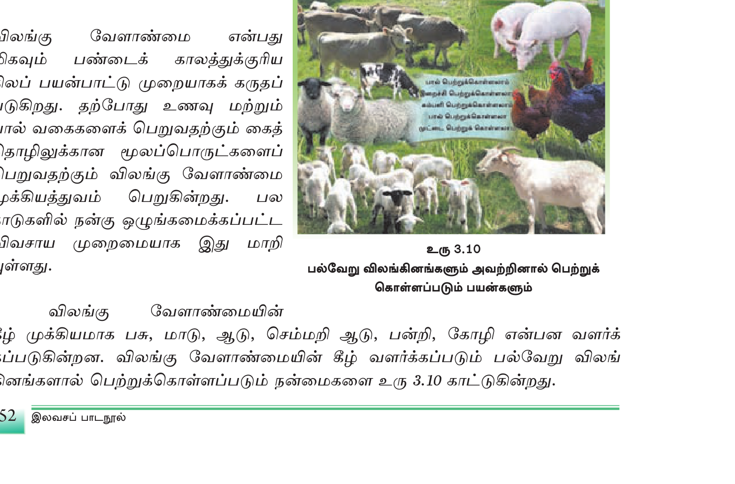 உரு 3.11 — பல்வேறு விலங்கினங்கள்: அவற்றைப் பெற்றுக் கொள்ளப்படும் பல வகைப் பண்ணைகள்.