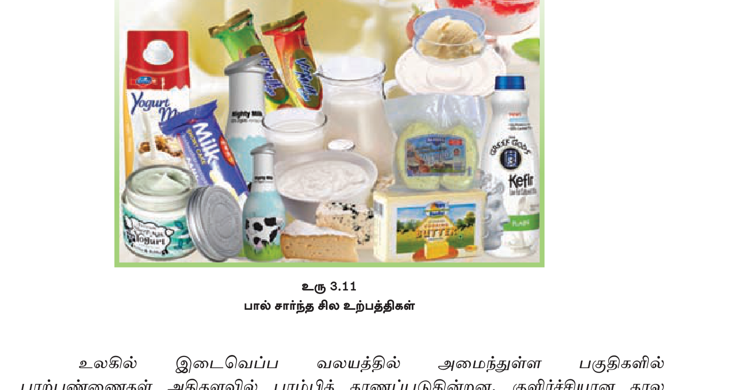 உரு 3.12 — பாலில் இருந்து தயாரிக்கப்படும் பல்வேறு பால் உற்பத்திகள்: வெண்ணெய், சீஸ், தயிர், ஐஸ்க்ரீம், மிளகு பால்.