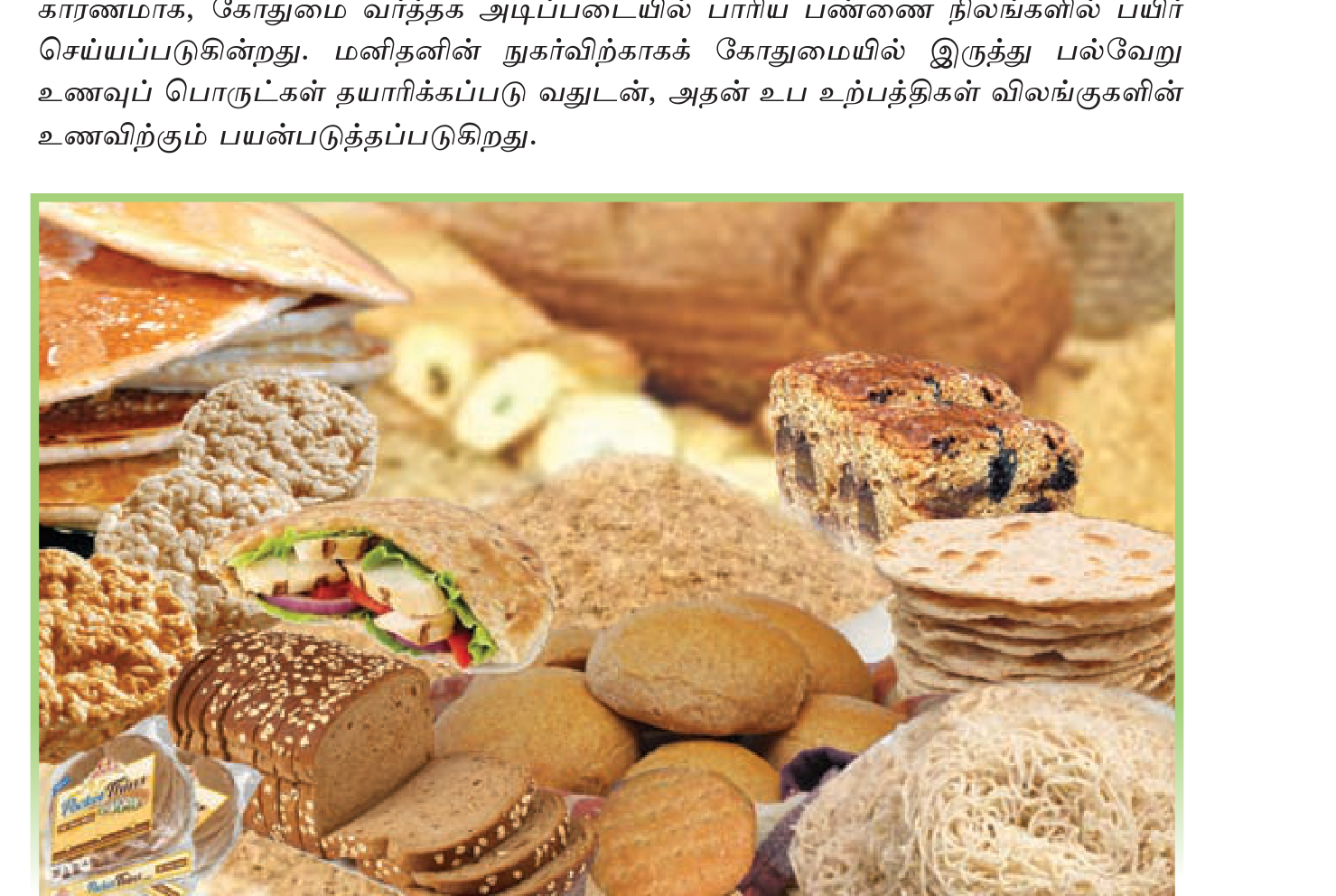 உரு 3.6 — கோதுமையின் பல்வேறு பொருட்கள்: ரொட்டி, பாஸ்தா, மாவு, பிஸ்கட், கேக். எல்லாமே ஒரே தானியத்திலிருந்து.