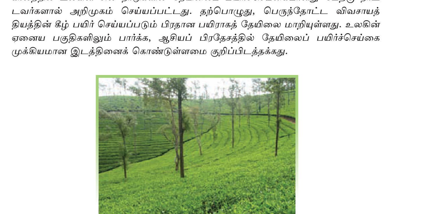 உரு 3.7 — தேயிலைப் பெருந்தோட்டம்: சாய்வான மலைச் சரிவில் சம உயரமான தேயிலைச் செடிகள்.