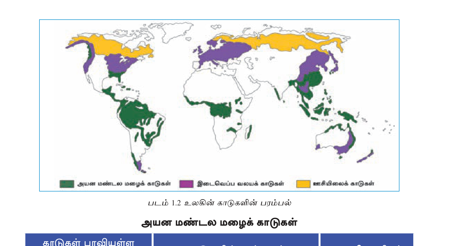 உரு 1.12 — உலகின் காட்டு வலயங்கள்: அயன ஈரக் காடு (rainforest), சவன்னா, இடைவெப்ப காடு, deciduous, ஊசியிலை (coniferous), டண்ட்ரா.