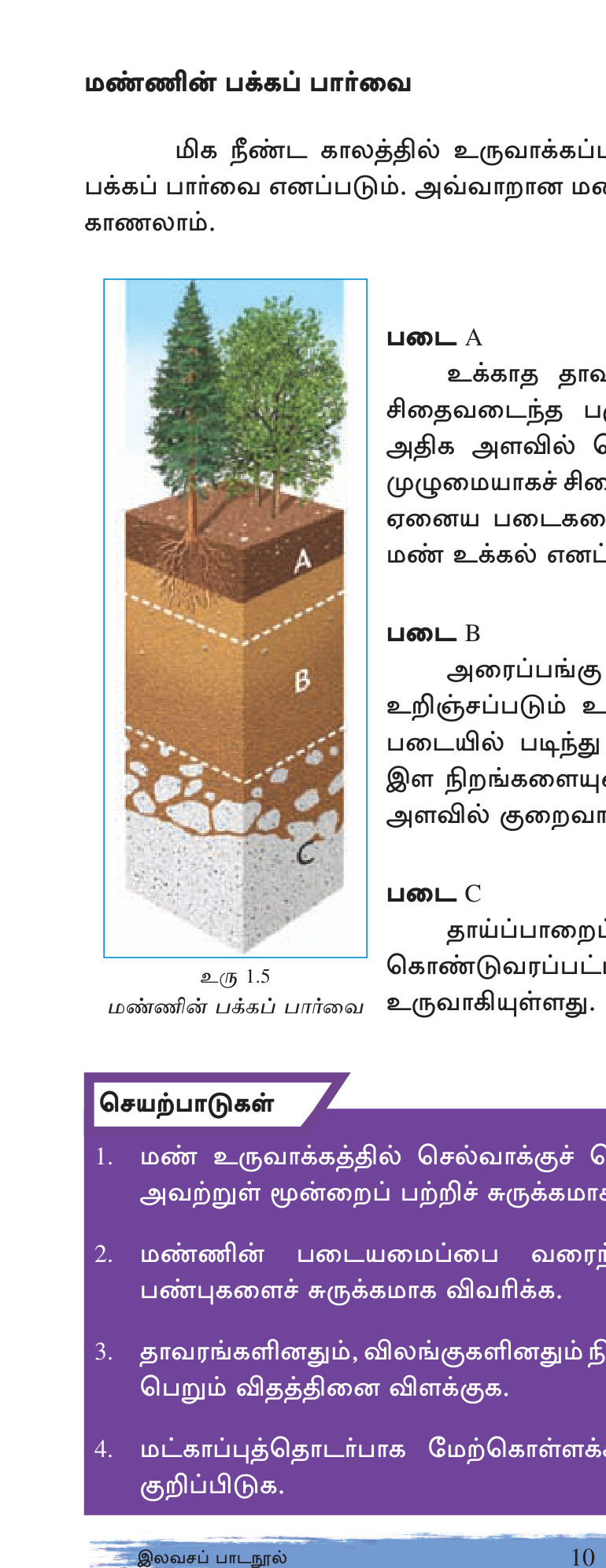 உரு 1.15 — மண் பகுதி (soil profile) — O, A, B, C, R அடுக்குகள்.