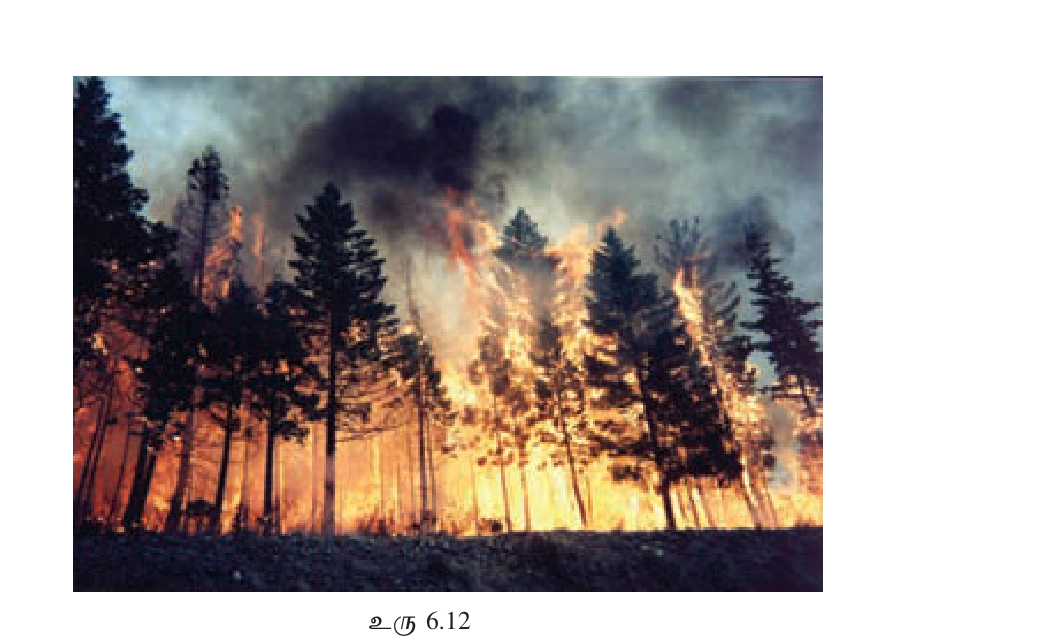 உரு 6.12 — Wildfires: California, Australia, Greece, Amazon — climate change-intensified.