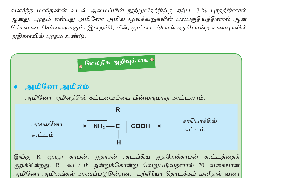 படம் 1.2 — அமினோ அமிலத்தின் பொது அமைப்பு: அமினோ குழு, கார்பாக்சிலிக் குழு, ஐதரசன், R-குழு.