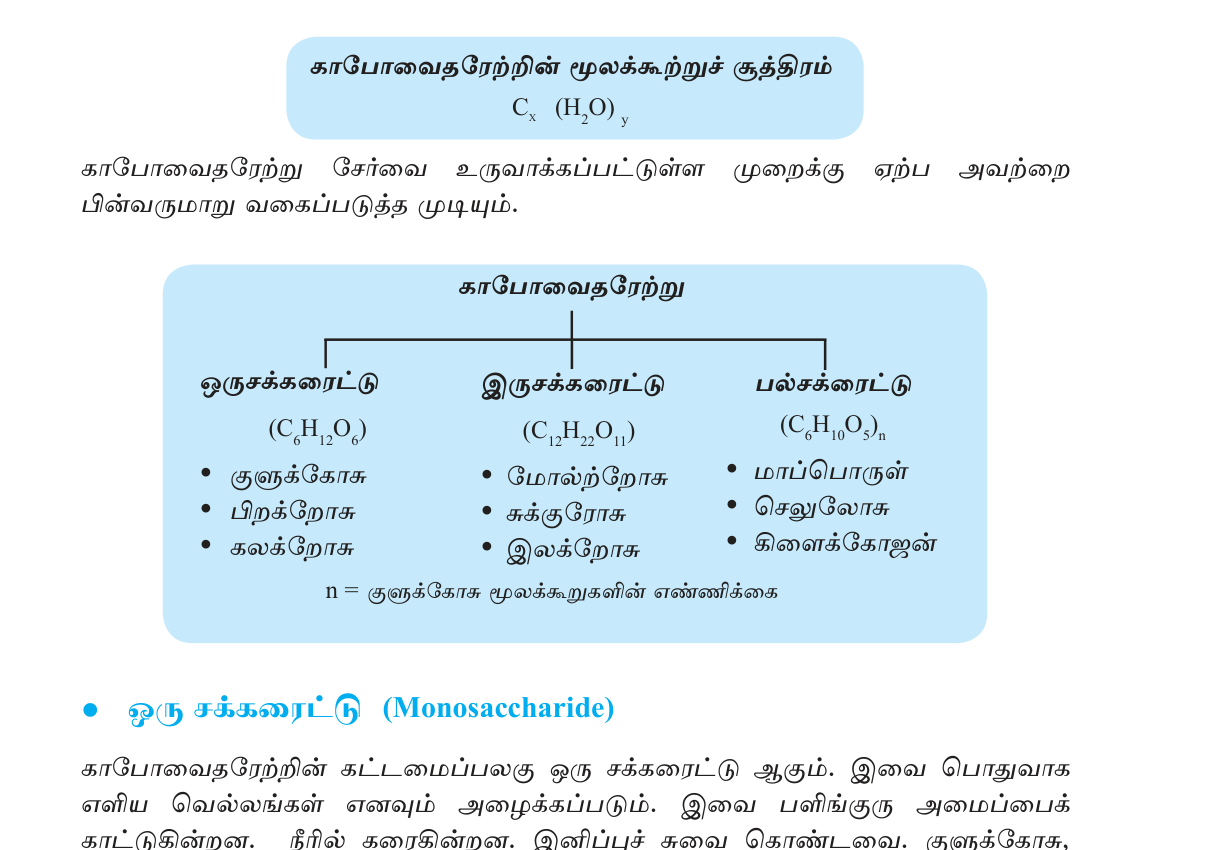 படம் 1.1 — கபோவைதரேற்றின் மூன்று வகுப்பு: மோனோ · டி · பல்சக்கரைடு.