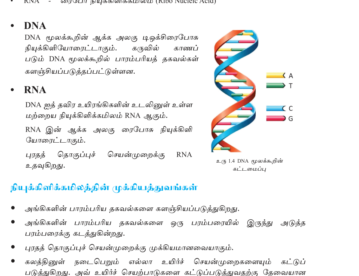 படம் 1.3 — DNA-வின் இரட்டைச் சுருள் கட்டமைப்பு; A-T, G-C காரக் கூட்டிணைப்பு.