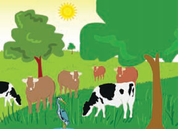படம் 2.1 — மரம், புல், மாடு, பறவை, ஒளி — ஒரு சிறு சுற்றுச்சூழல். அனைத்து உயிர்களுக்கும் உணவு மூலம் = பச்சைத் தாவரம்.