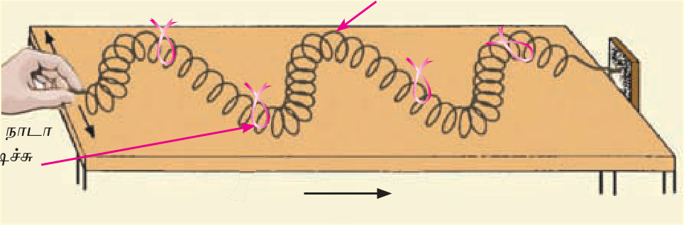 படம் 4.4 — நெட்டு அலை: compression + rarefaction மாறி மாறி பரவல்.